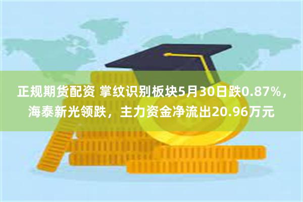 正规期货配资 掌纹识别板块5月30日跌0.87%，海泰新光领跌，主力资金净流出20.96万元