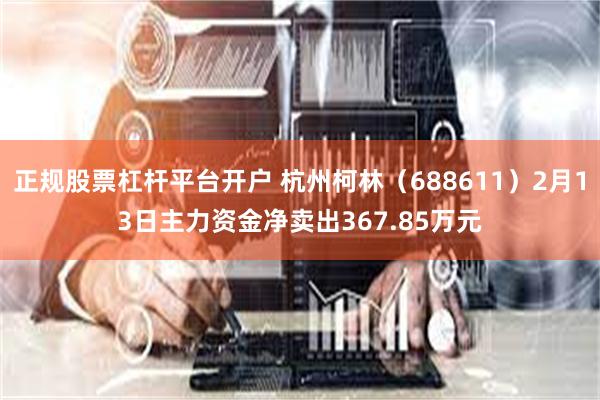 正规股票杠杆平台开户 杭州柯林（688611）2月13日主力资金净卖出367.85万元