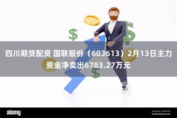 四川期货配资 国联股份（603613）2月13日主力资金净卖出6783.27万元