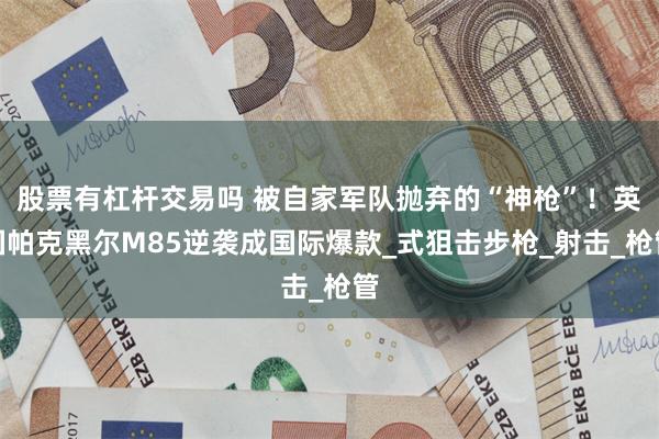股票有杠杆交易吗 被自家军队抛弃的“神枪”！英国帕克黑尔M85逆袭成国际爆款_式狙击步枪_射击_枪管